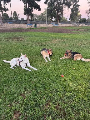 Recreation Park