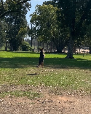 Recreation Park