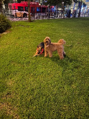 Promenade Square