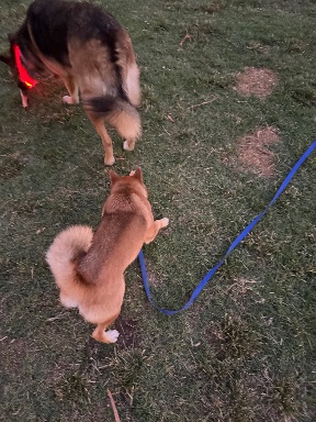 Promenade Square