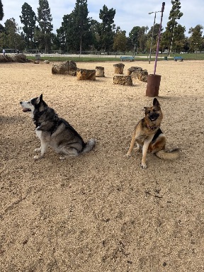 Recreation Dog Park